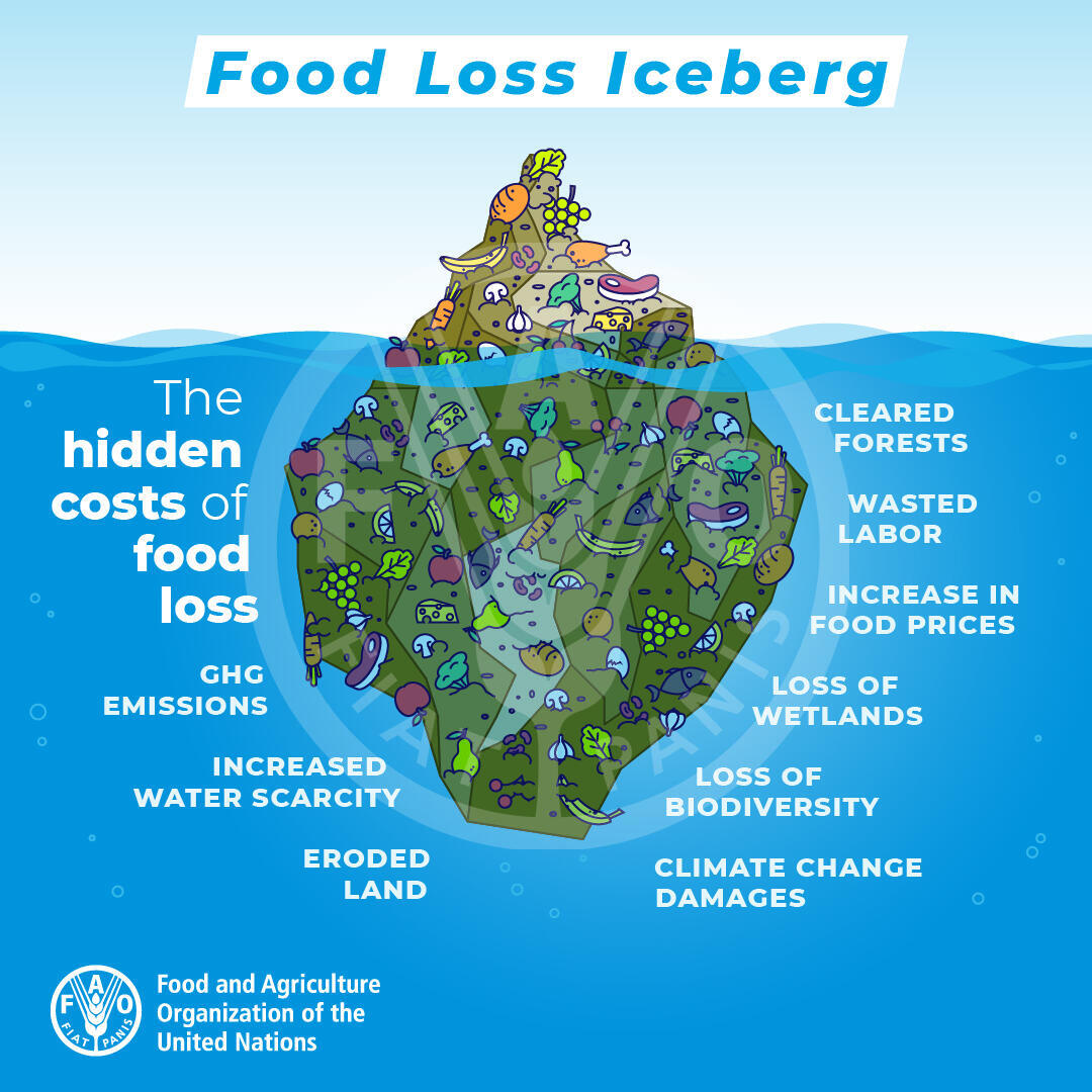 Iceberg dello spreco alimentare