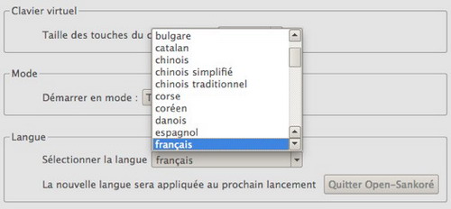 Immagine di come si seleziona la lingua dell'interfaccia