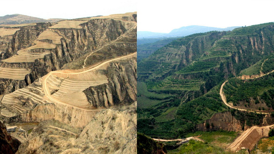 loess plateau